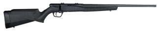 SAVAGE B17 F 17 HMR 21”