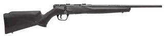 SAVAGE B17 F (COMPACT) 17 HMR 19”