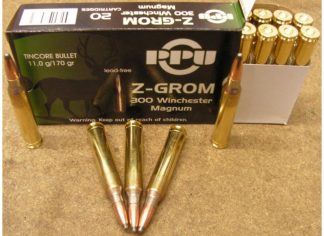 PRVI c.300 Win Mag  ZGROM 170gr 20 rds