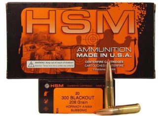 HS MUNITIONS 300 BLACKOUT 208 GR A-MAX