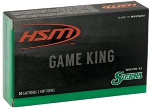 HS MUNITIONS 303 BRITISH 180 gr Pro-Hunter