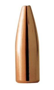BARNES 22 CAL VARMINATOR HP FB 40GR 100RD