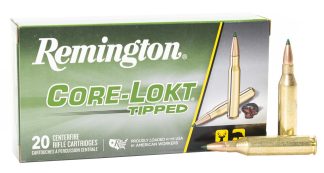 REM 243 WIN 95GR CORE-LOKT TIPPED