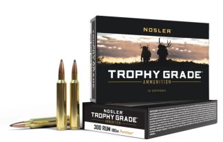 NOSLER TGA-300 RUM 200G AB SP (20CT)