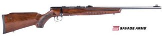 SAVAGE B22 MAGNUM G 22 WMR 21” BBL