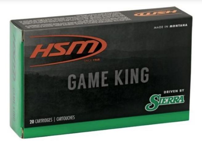 HS MUNITIONS 8MM MAUSER 175 GR PRO-HUNTER