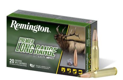 REM 308 WIN 172 SPEER IMPACT
