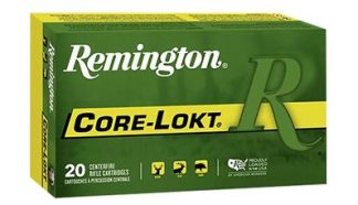 REM. c.25-06 REM. 100GR. PTD SP