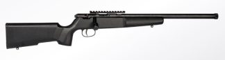 SAVAGE RASCAL - TARGET 22 LR 16 1/8”
