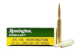 REM. c.25-06 REM.120GR. PTD SP