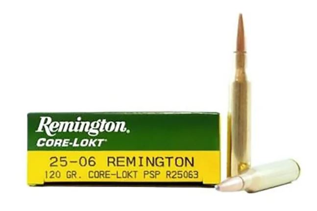 REM. c.25-06 REM.120GR. PTD SP