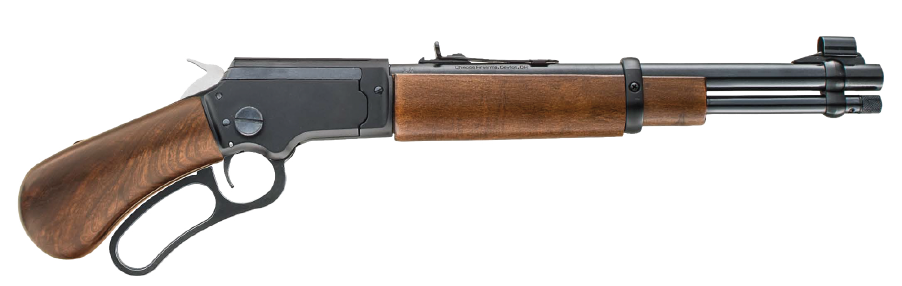 CHIAPPA LA322 BANDIT BOOTLEG 22 LR 12″ TD WOOD