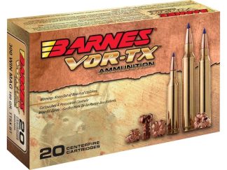 BARNES 300 WIN MAG (21538) 180GR TTSX BT