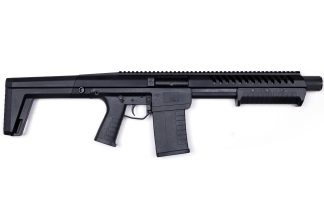 IRON HORSE FIREARMS ENTRY 12 SHOTGUN c.12 GA 10.5" BBL