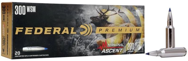 FED 300 WSM 200GR TERMINAL ASCENT