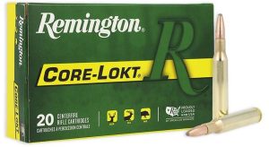 REM. c.270 WIN. 100GR. PTD SP