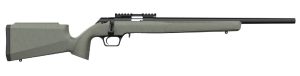 RETAY ASEND SPORTER GREEN 20" .22 LR POLYMER GREEN