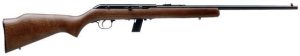 LAKEFIELD 64G c.22 LR