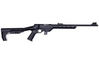 (DIS) REPLACED WITH  CIT22LRBLTB