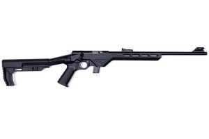 (DIS) REPLACED WITH  CIT22LRBLTB