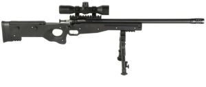 CRICKET Crickett Precision Rifle Black (Package) BLUED .22LR
