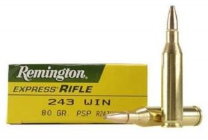 REM. c.243 WIN. 80GR. PTD SP