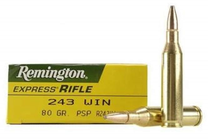 REM. c.243 WIN. 80GR. PTD SP