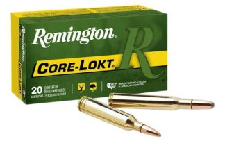 REM. c.3006 SPFLD. 150GR. PTD SP