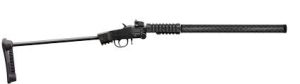 CHIAPPA 22LR. LITTLE BADGER TDX 18.5" PICATINNY QUAD RAIL