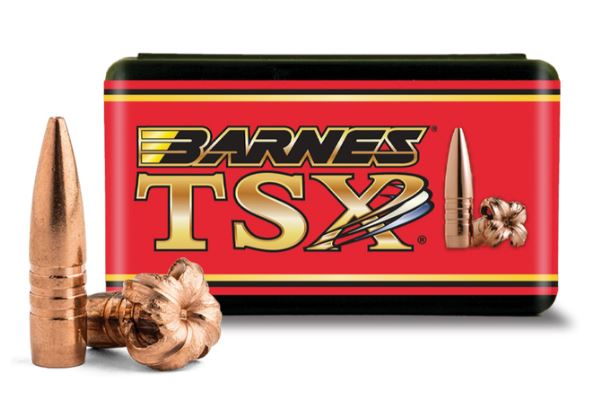 BARNES 375 CAL TSX FB 300GR 50RD