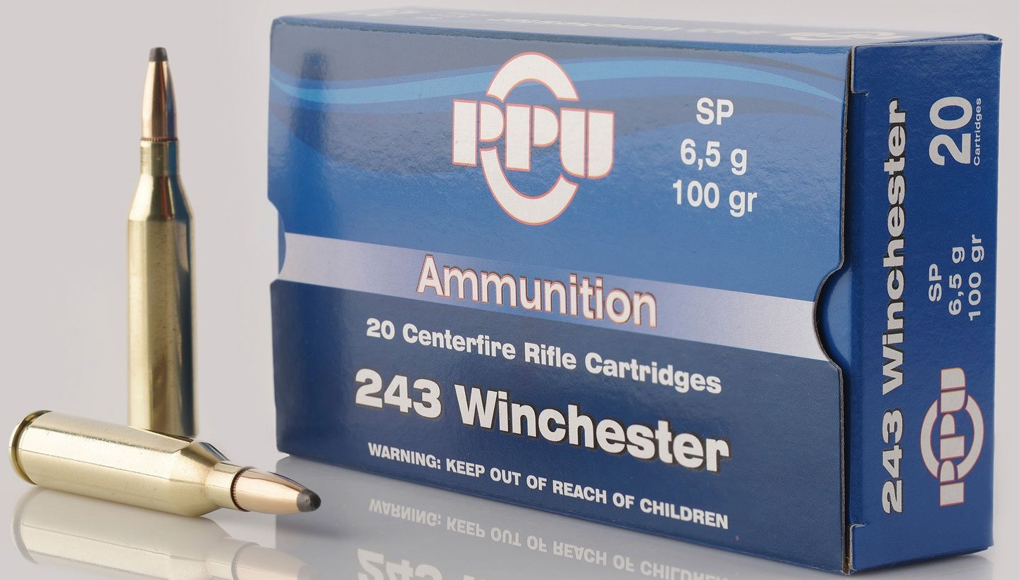 PRVI .243 WINCHESTER SP 90GR 20 ROUNDS