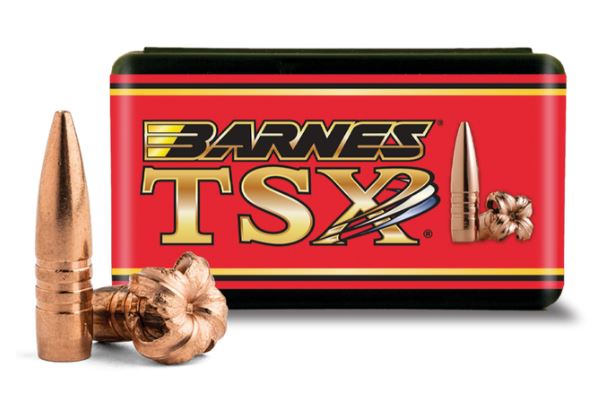BARNES 270 CAL TSX BT 140GR 50RD