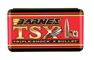 BARNES TSX FB 450 BUSHMASTER 275 GR