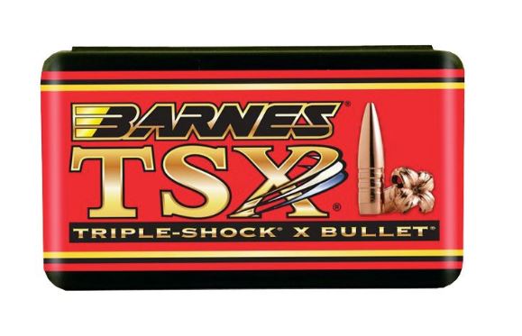 BARNES TSX FB 450 BUSHMASTER 275 GR