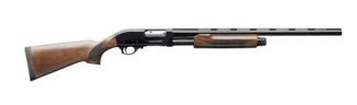 CHARLES DALY 20GA-3" 301  PUMP, WALNUT STOCK, 22"