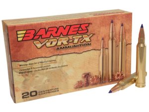 BARNES 300 WIN MAG (21537) 165GR TTSX BT