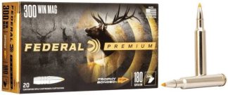 FED. PREM. c.300 WIN MAG 180GR TROPHY TIP