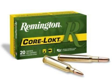 REM. c.264 WIN. MAG. 140GR. PTD SP