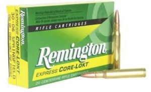 REM. c.3006 SPFLD. 165GR. PTD SP