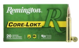 REM. c.300 WIN.MAG.180GR. PTD SP