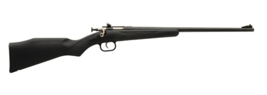 CRICKET Youth With Lock .22 LR 16.125” STS