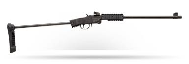 CHIAPPA 22LR. LITTLE BADGER TAKE DOWN XTREME 16.5″