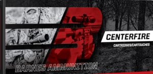 BARNES (32108) 243 WIN JHP BT 100 GR