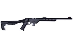 (DIS) REPLACED WITH  CIT22LRBLTB