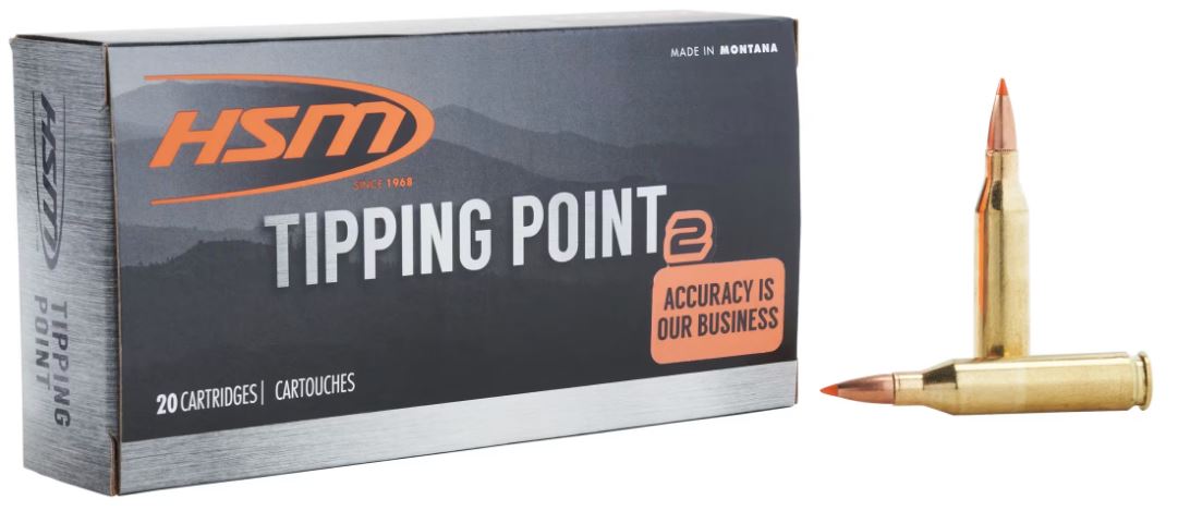 HS MUNITIONS .243 95GR. SST NEW (20RND/BX)