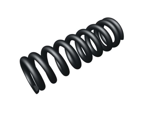 CZ DISASSEMBLY PLATE SPRING